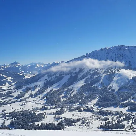 Alpenvogel Sonthofen