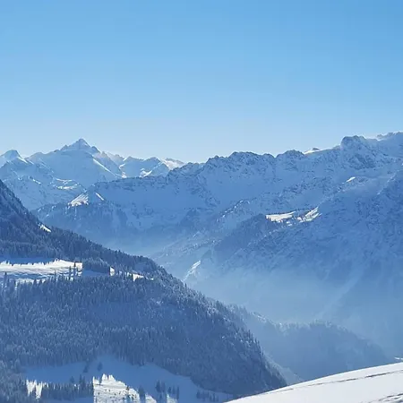 Apartment Alpenvogel