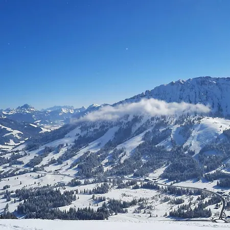 아파트 Alpenvogel *